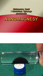 Nanomagnesy