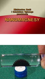 Nanomagnesy