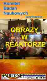 Obrazy w reaktorze