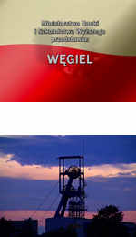 Wgiel